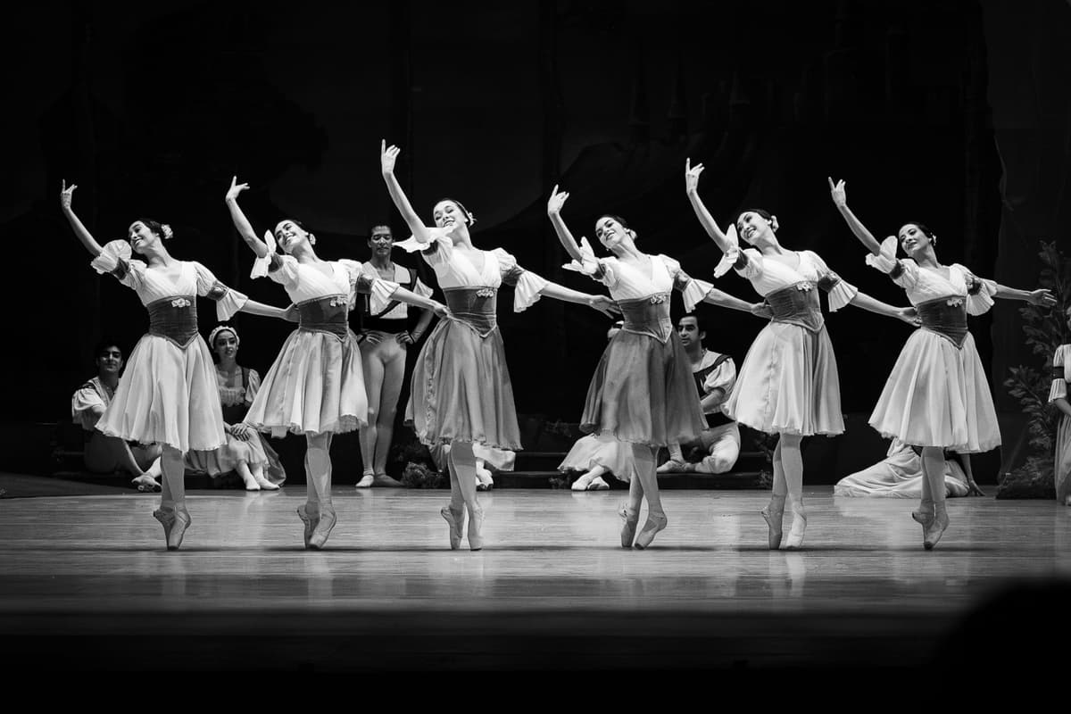 Performing Arts Portfolio