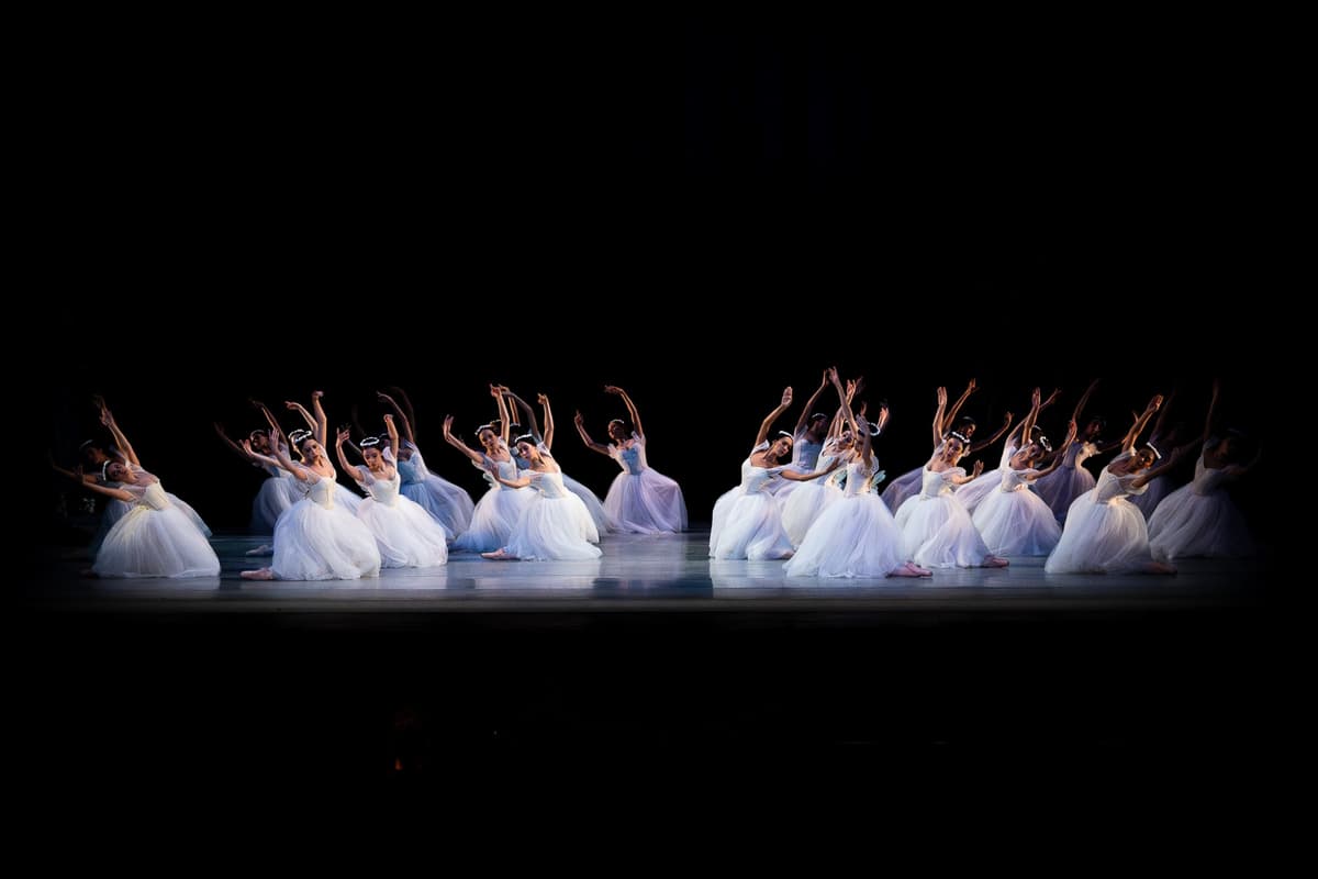 Performing Arts Portfolio