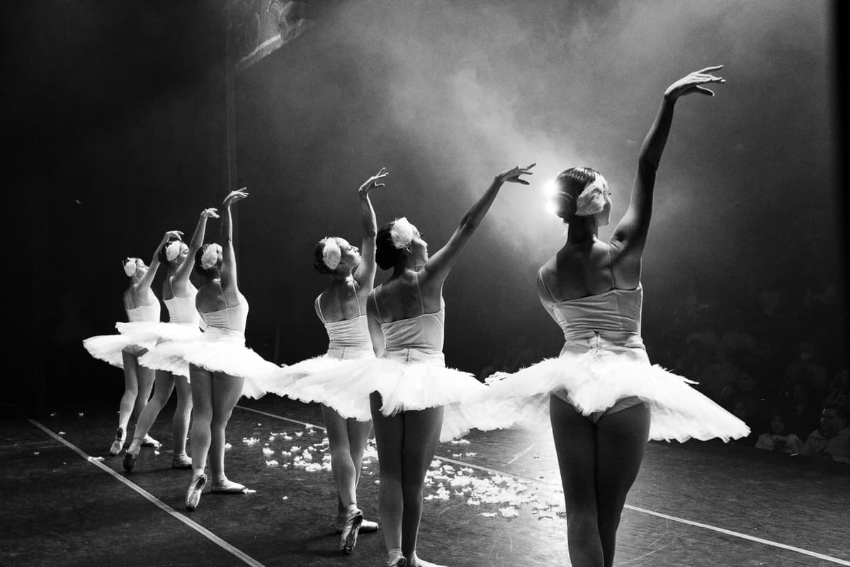 Performing Arts Portfolio