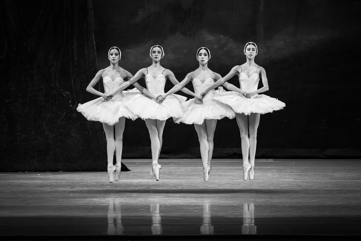 Performing Arts Portfolio