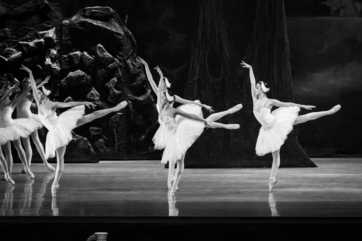 Performing Arts Portfolio