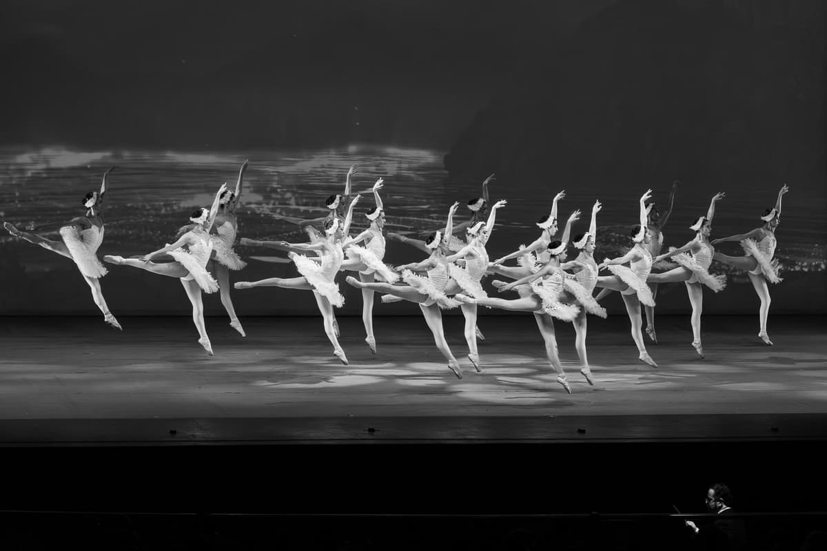 Performing Arts Portfolio