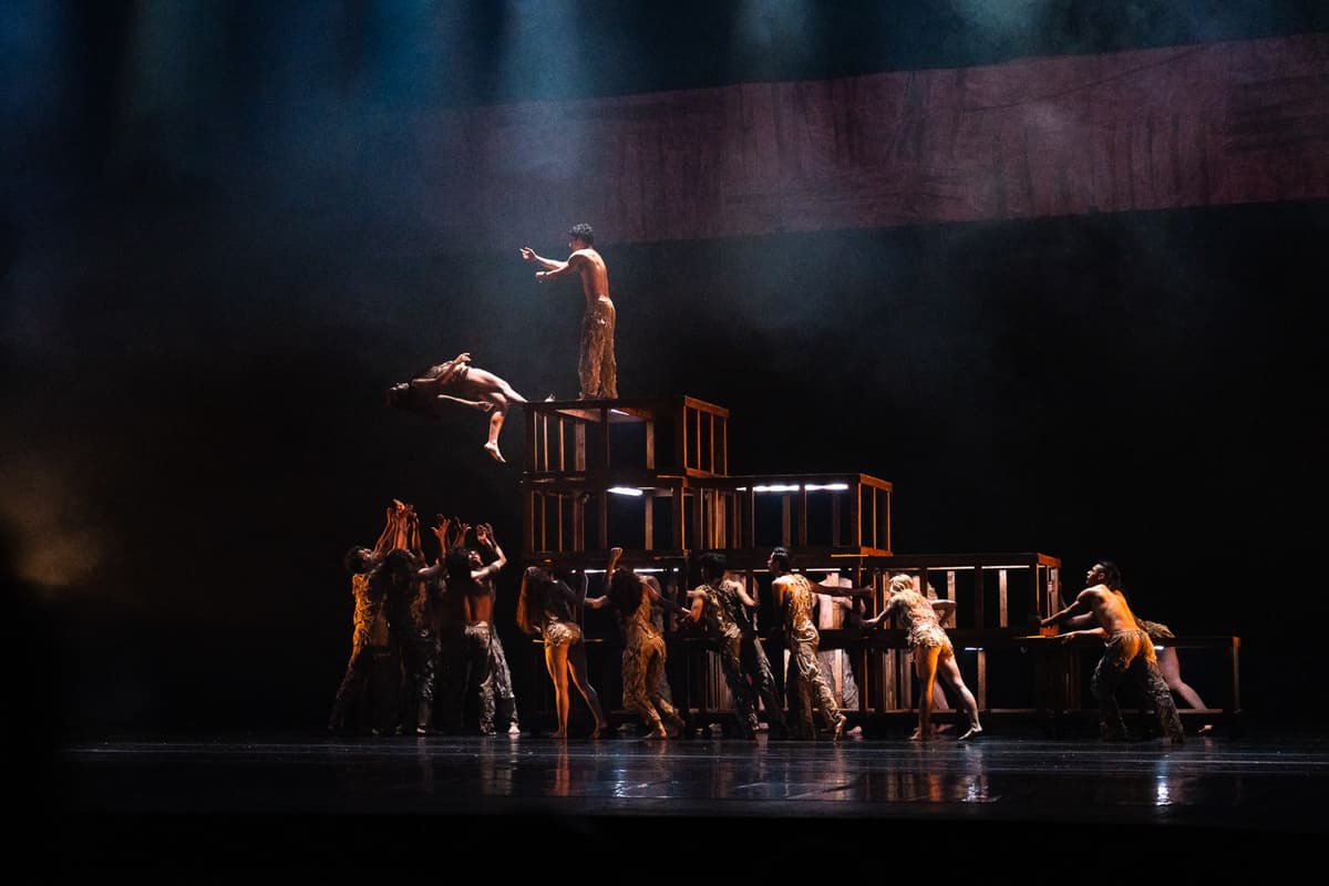 Performing Arts Portfolio