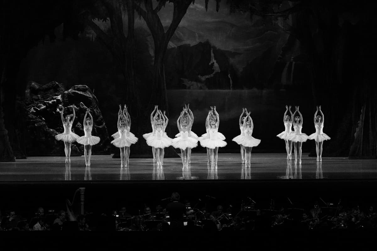 Performing Arts Portfolio