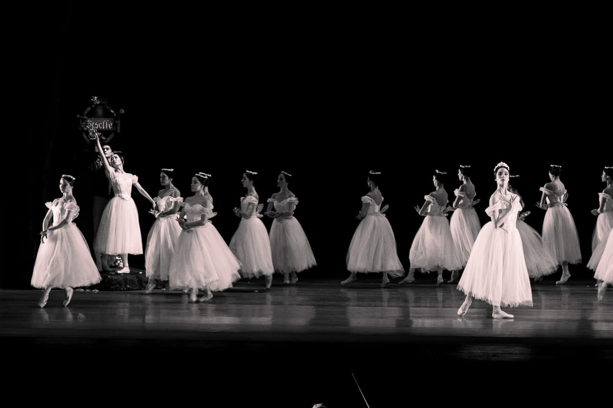 Performing Arts Portfolio