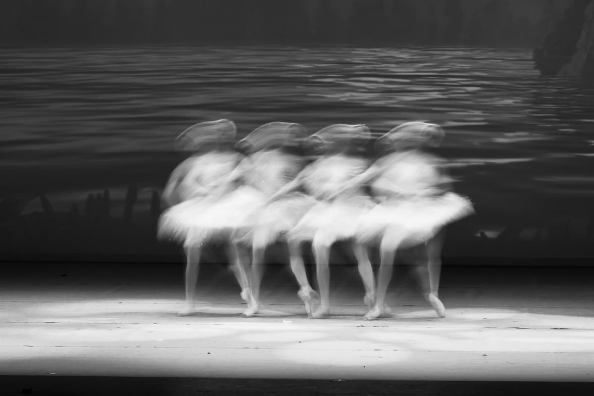 Performing Arts Portfolio