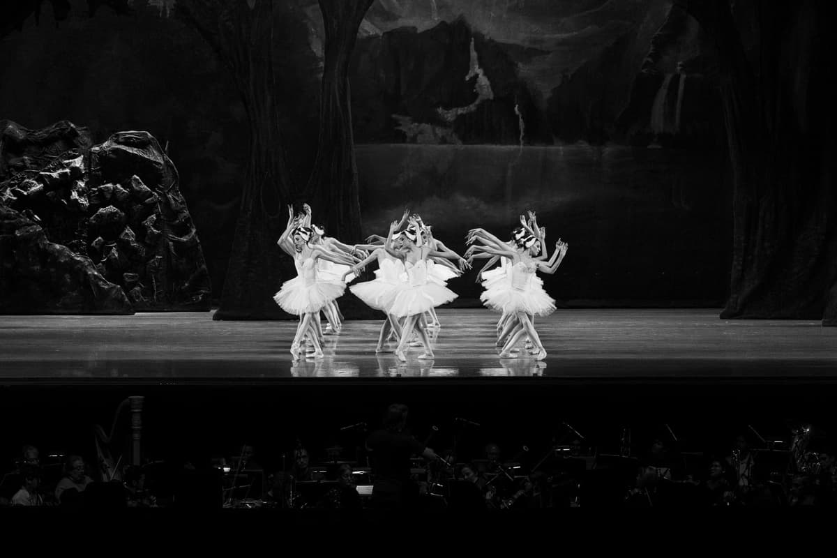 Performing Arts Portfolio