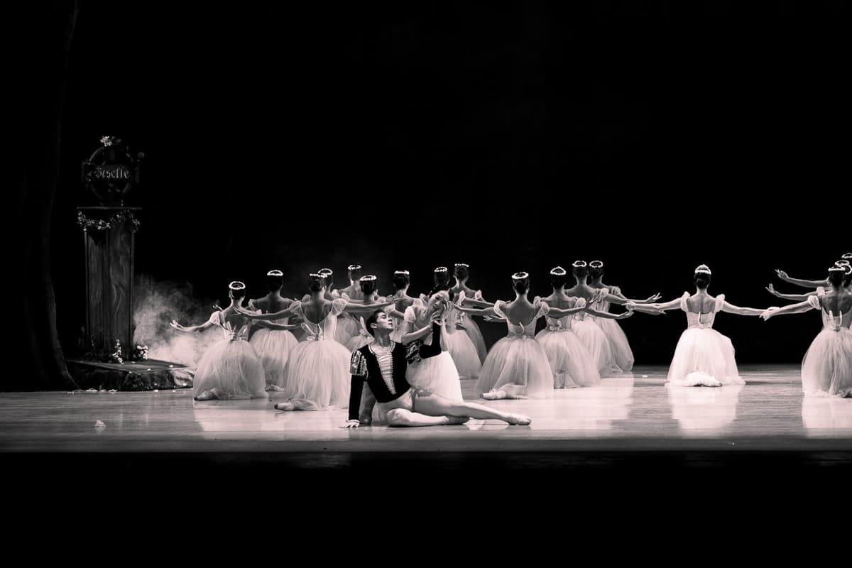 Performing Arts Portfolio