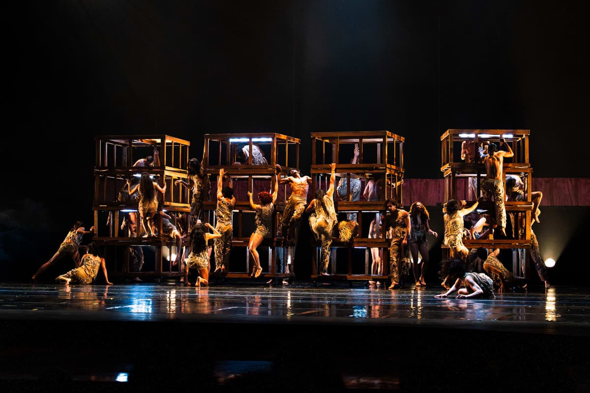 Performing Arts Portfolio