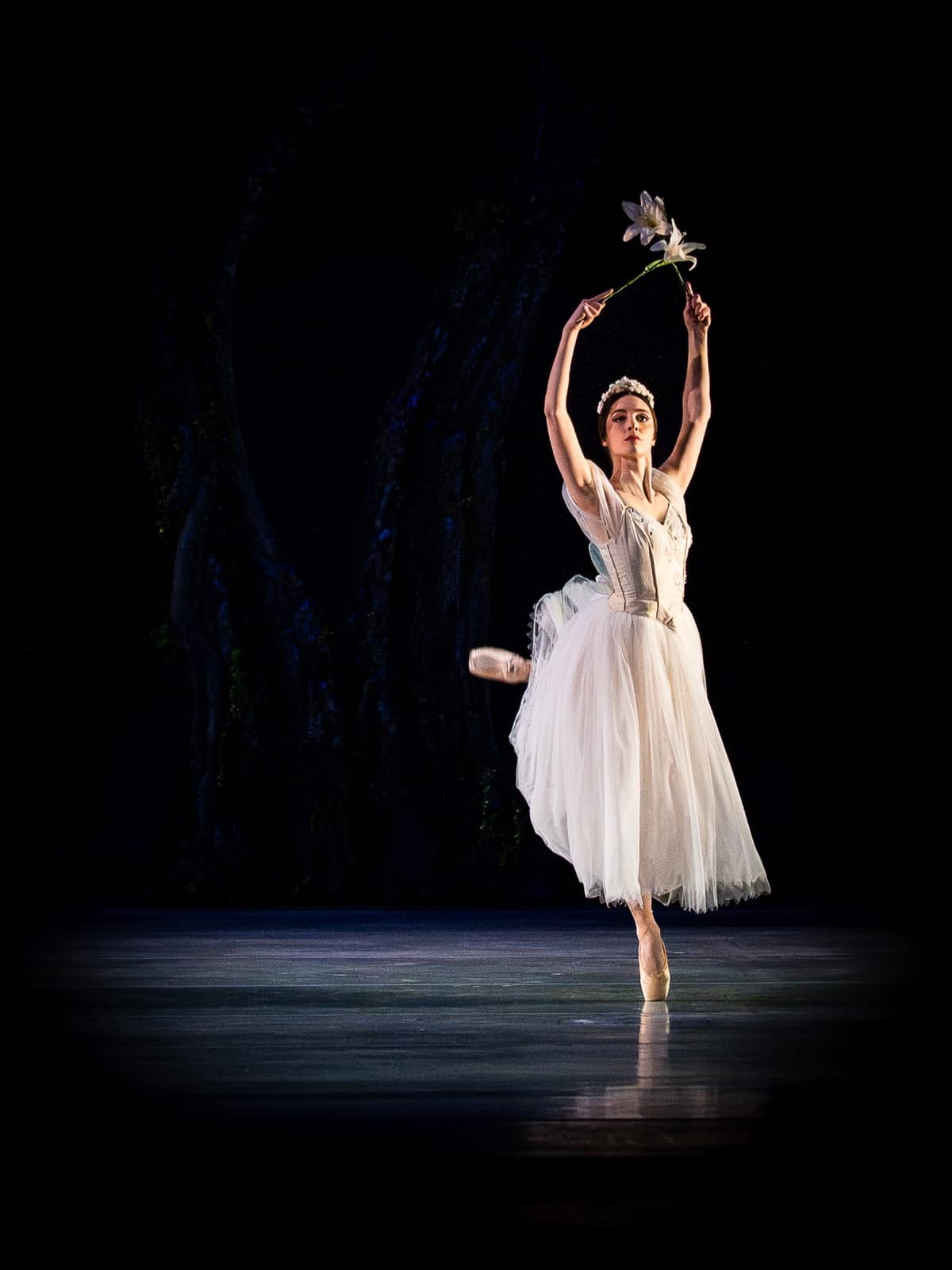 Performing Arts Portfolio