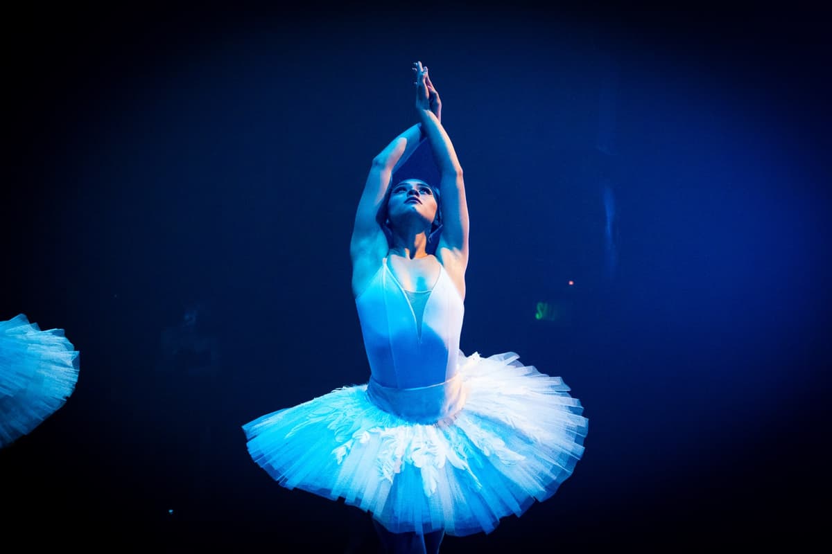 Performing Arts Portfolio