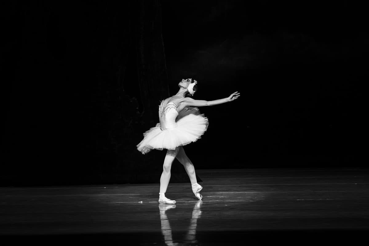 Performing Arts Portfolio