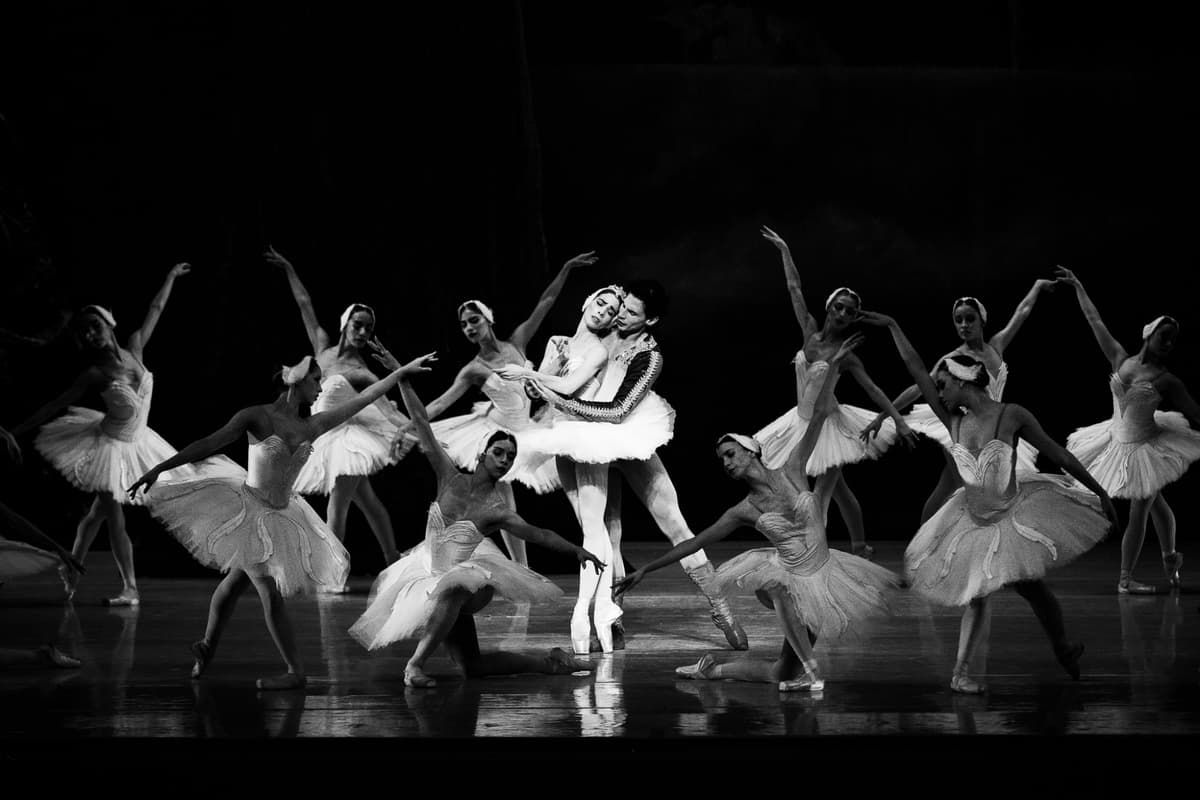 Performing Arts Portfolio