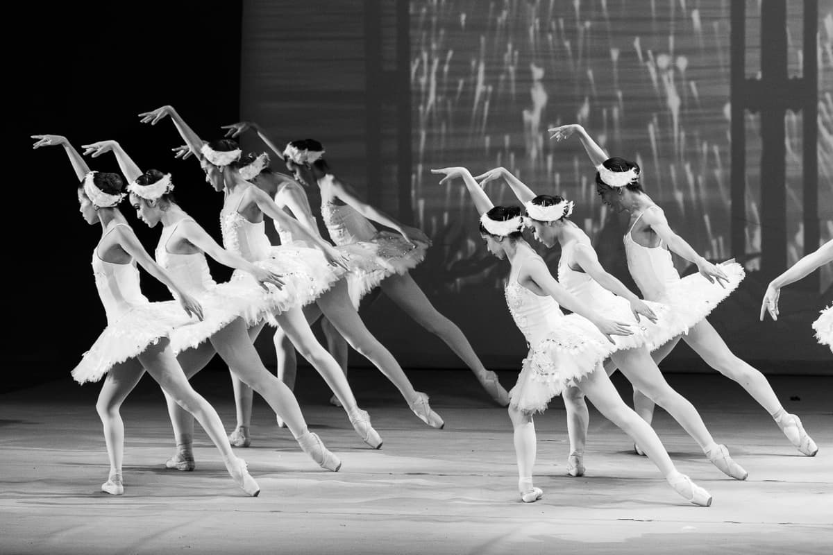 Performing Arts Portfolio